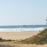 Polihale